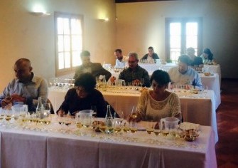 Premiados en la XX Cata Insular de Vinos de Gran Canaria
