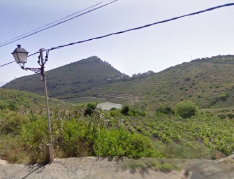 Viñedos Bandama Hoya del Alcalde