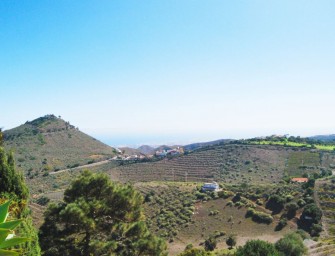 Bodega Montealto