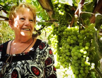 La Bodega Municipal de Agüimes premiada con el segundo premio de fotografía en #VendimiaLozano21