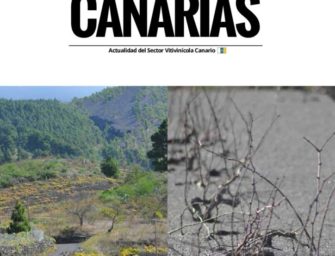 Revista «Vinos de Canarias» / Número 1
